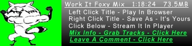 Work It Foxy Mix